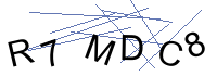 Security Captcha