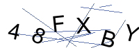 Security Captcha