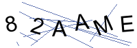 Security Captcha