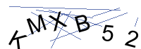 Security Captcha