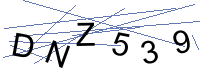 Security Captcha