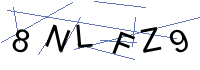 Security Captcha