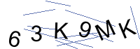 Security Captcha