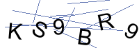 Security Captcha