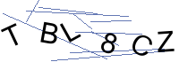Security Captcha