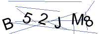 Security Captcha