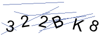 Security Captcha