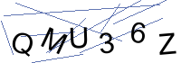 Security Captcha