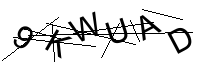 Security Captcha