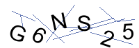Security Captcha