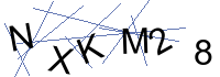 Security Captcha