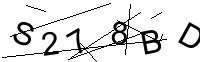 Security Captcha