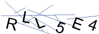 Security Captcha