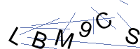 Security Captcha