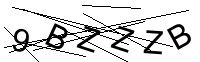 Security Captcha