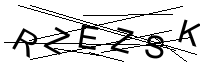 Security Captcha