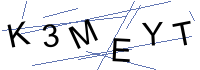 Security Captcha