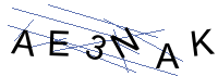 Security Captcha
