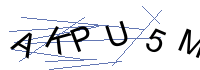 Security Captcha
