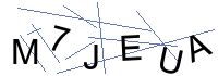 Security Captcha