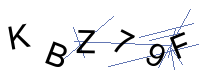 Security Captcha