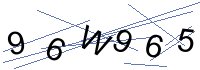 Security Captcha