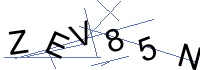 Security Captcha