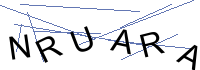 Security Captcha