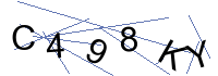 Security Captcha