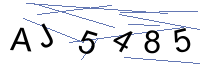Security Captcha
