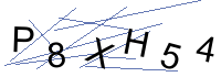 Security Captcha