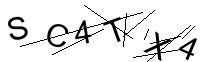 Security Captcha