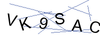Security Captcha