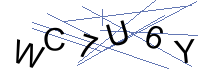 Security Captcha