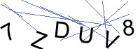 Security Captcha