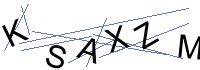 Security Captcha