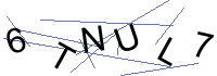 Security Captcha