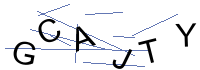 Security Captcha