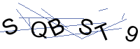 Security Captcha