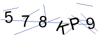 Security Captcha