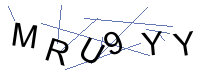 Security Captcha