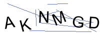 Security Captcha