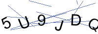 Security Captcha