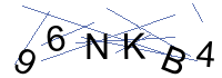 Security Captcha