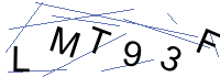 Security Captcha