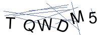 Security Captcha