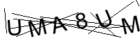 Security Captcha