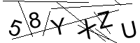 Security Captcha
