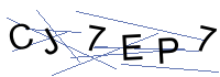 Security Captcha