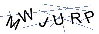 Security Captcha